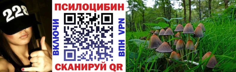 Галлюциногенные грибы мухоморы  Белинский 