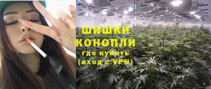 Конопля OG Kush  Белинский 